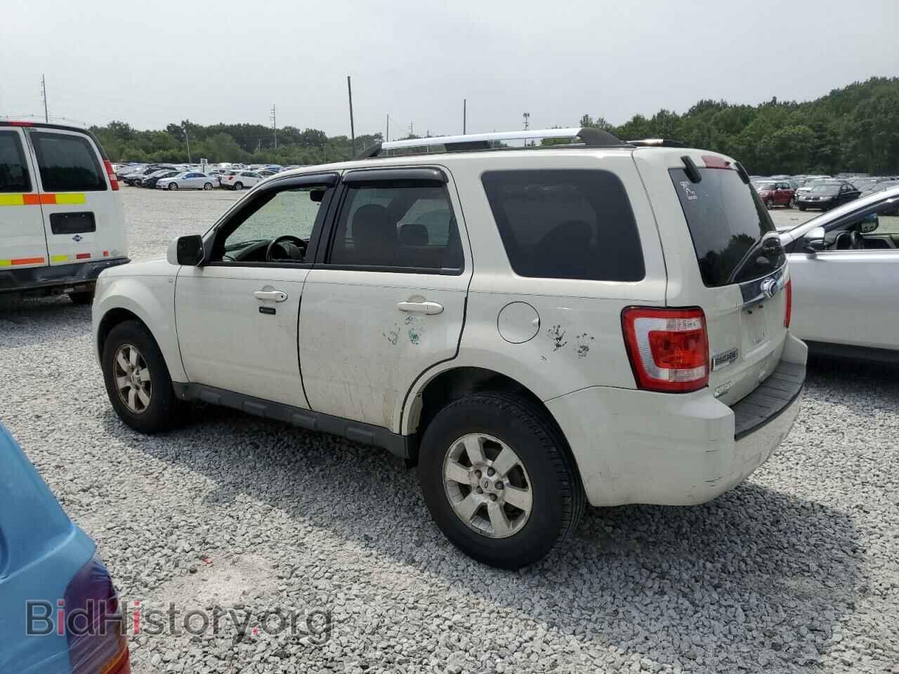 2011 FORD ESCAPE - VIN: 1FMCU9EG3BKA75354 - Фото 2