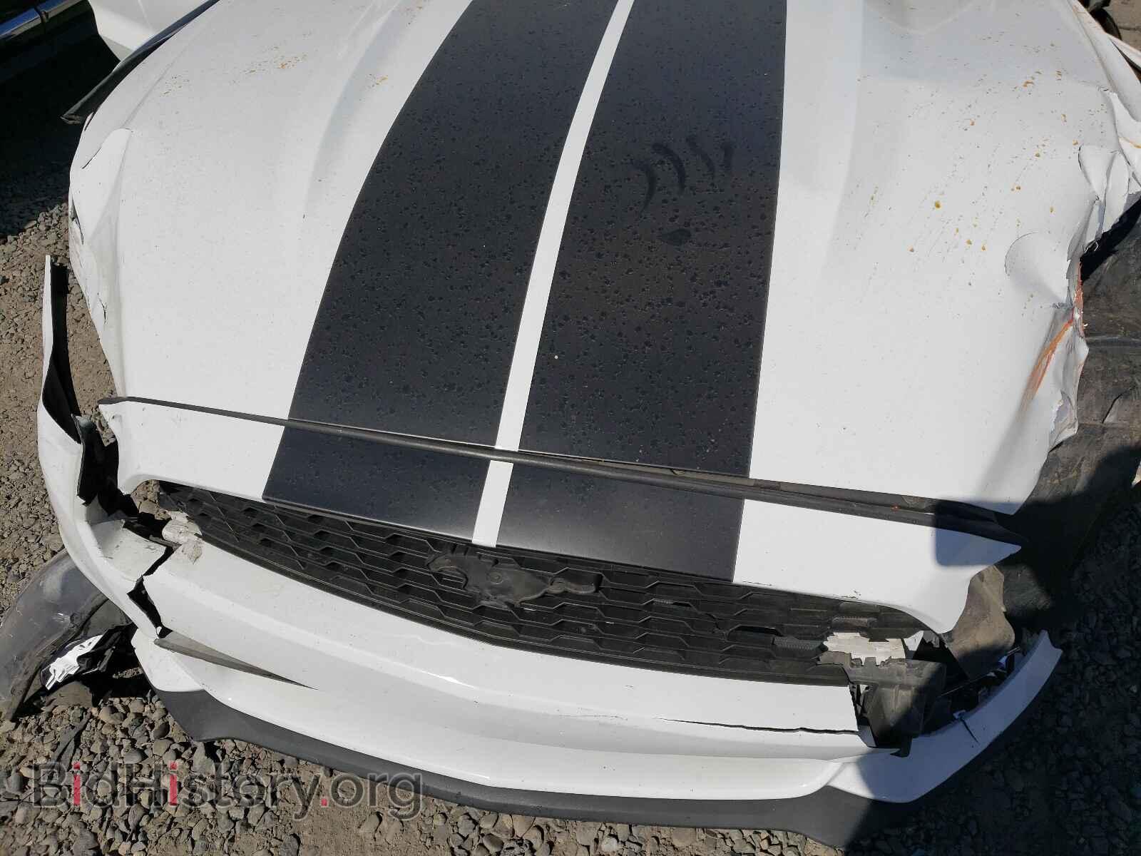 2017 FORD MUSTANG - VIN: 1FA6P8AM1H5231158 - Фото 7