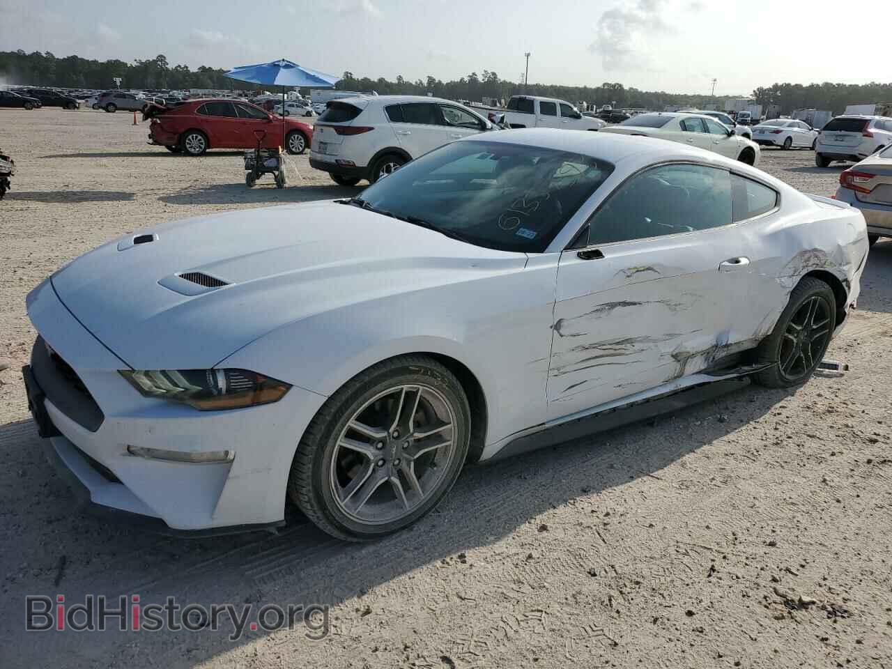 Фотография 1FA6P8TH9L5130202 - FORD ALL Models 2020