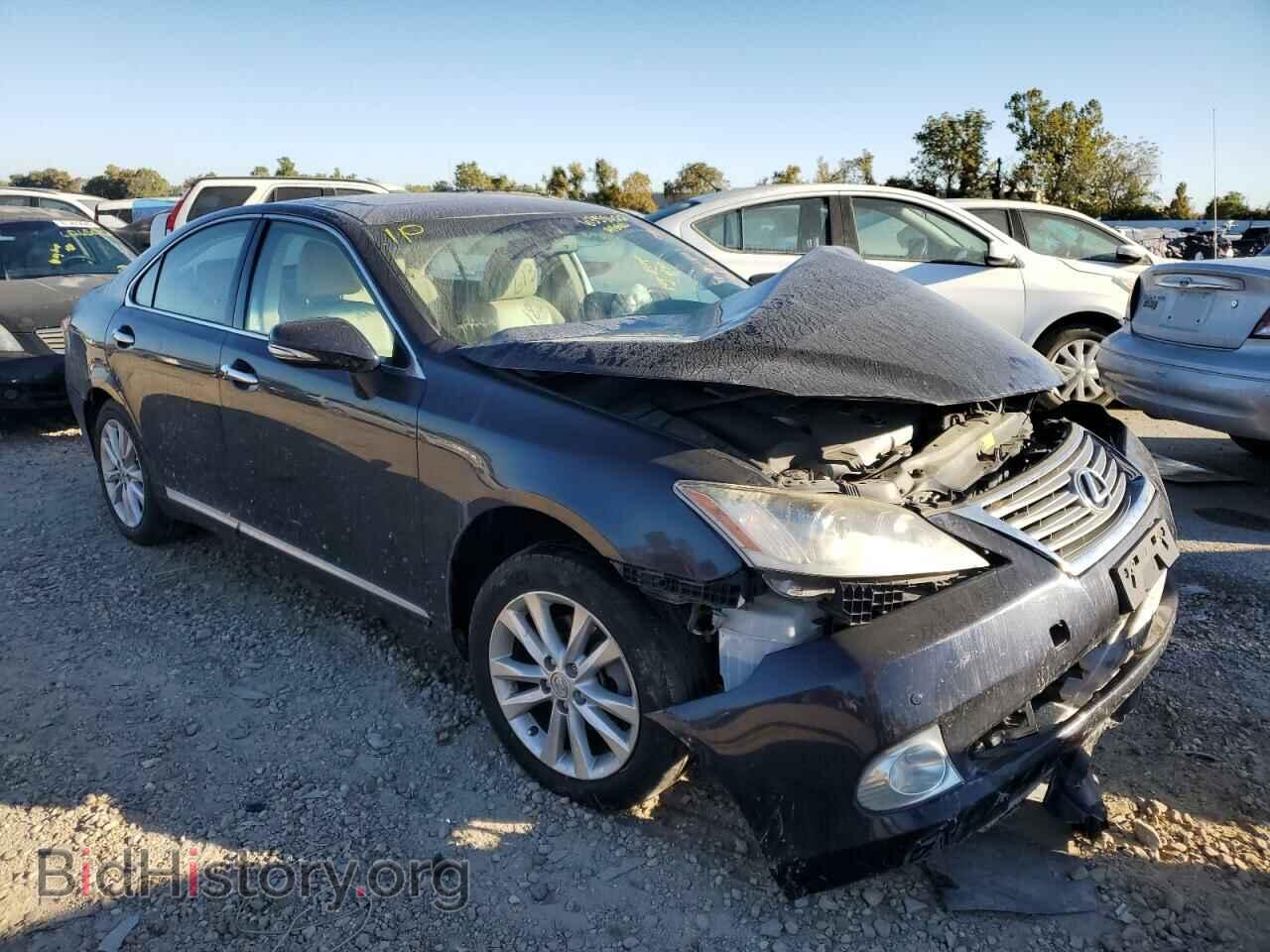 Фотография JTHBK1EG8A2398822 - LEXUS ES350 2010