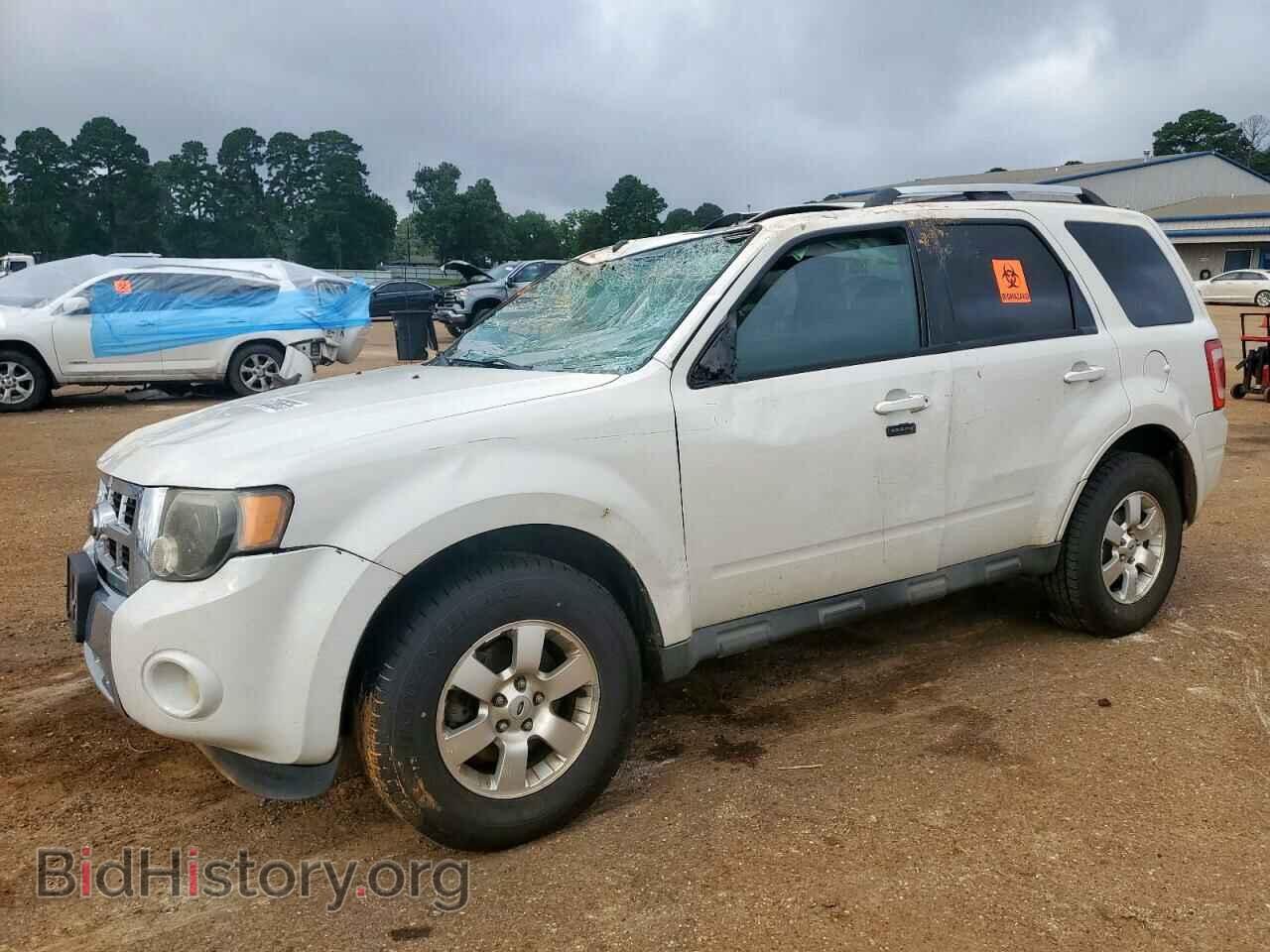 Photo 1FMCU0EG2BKB78390 - FORD ESCAPE 2011