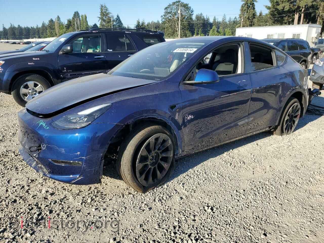 Фотография 7SAYGDEE2RF006541 - TESLA MODEL Y 2024