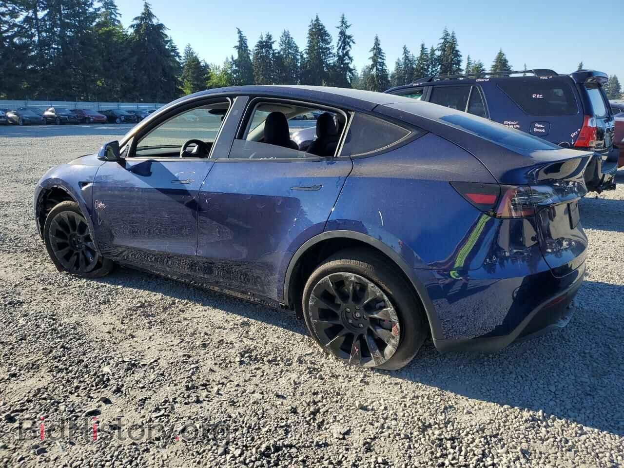 2024 TESLA MODEL Y - VIN: 7SAYGDEE2RF006541 - Photo 2