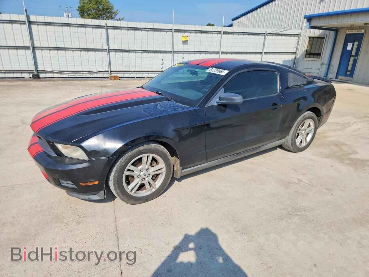 Photo 1ZVBP8AN0A5177016 - FORD MUSTANG 2010