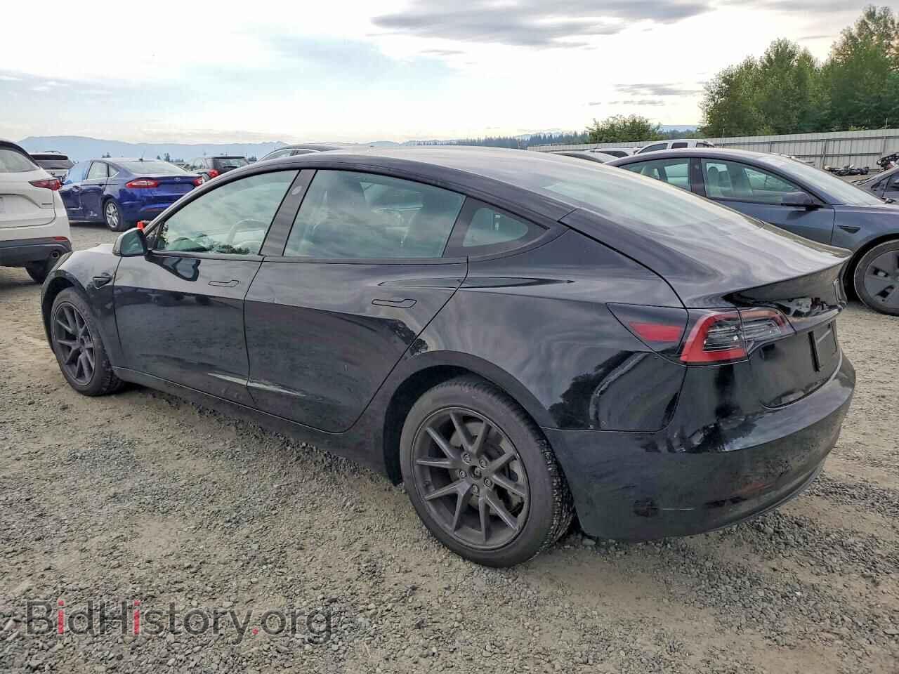 2023 TESLA MODEL 3 - VIN: 5YJ3E1EA5PF455847 - Photo 2