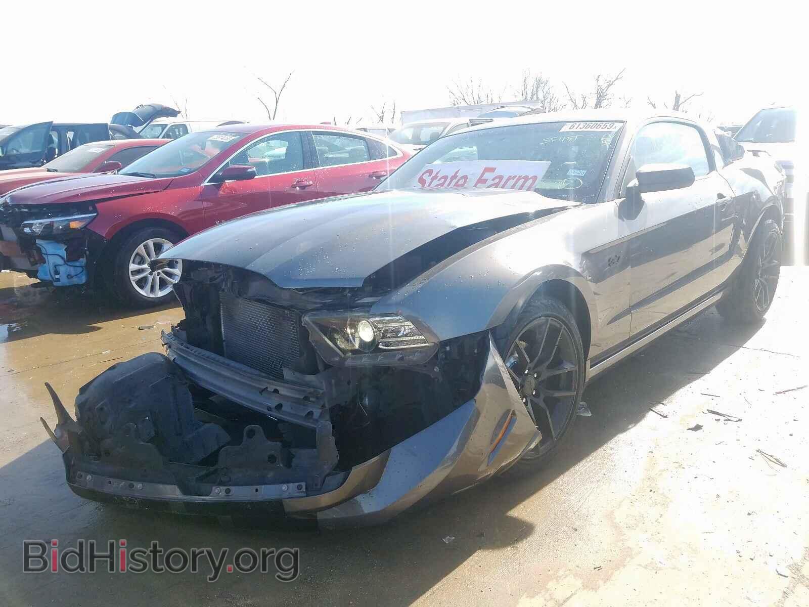 2014 FORD MUSTANG - VIN: 1ZVBP8AM9E5304696 - Фото 2