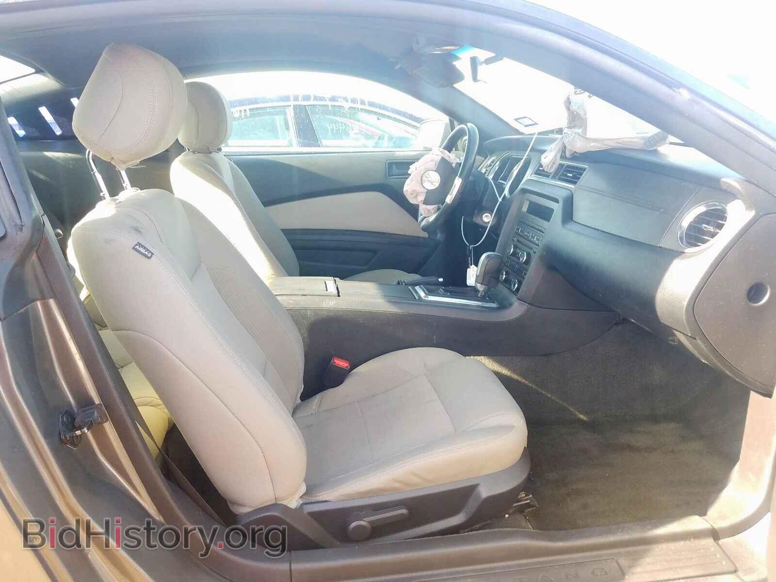 2014 FORD MUSTANG - VIN: 1ZVBP8AM9E5304696 - Фото 5