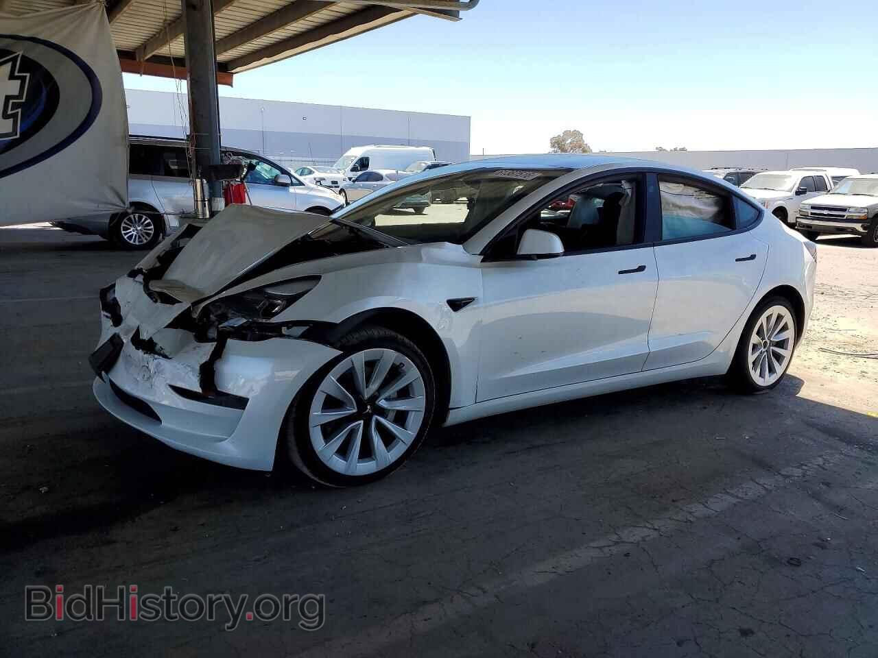 Фотография 5YJ3E1EB9PF592833 - TESLA MODEL 3 2023