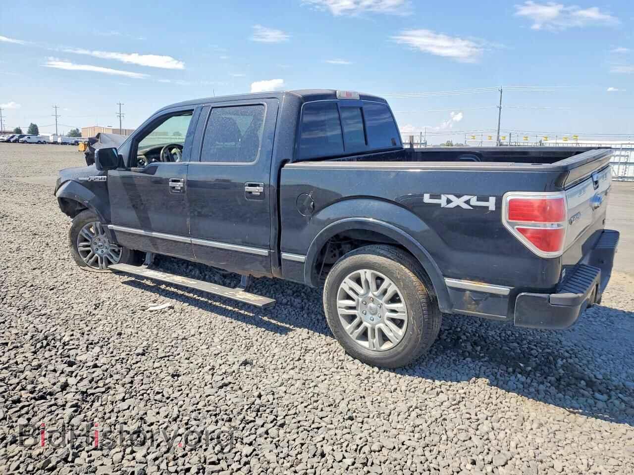 2010 FORD F150 - VIN: 1FTFW1EV9AFD28406 - Photo 2