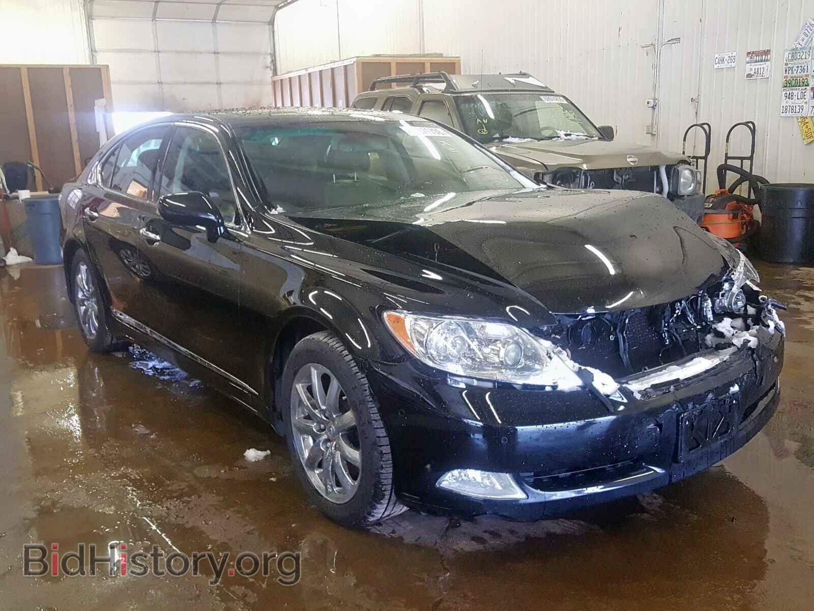 Фотография JTHCL46F795003743 - LEXUS LS460 2009