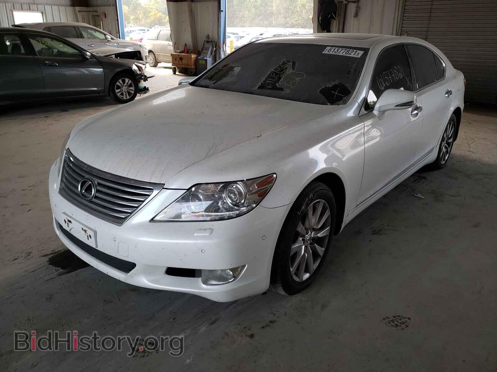 2010 LEXUS LS460 - VIN: JTHCL5EF8A5005335 - Photo 2