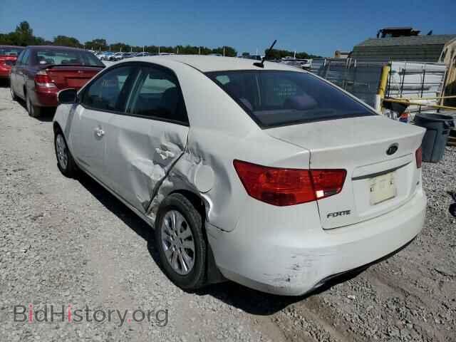 2011 KIA FORTE - VIN: KNAFU4A25B5888608 - Фото 3