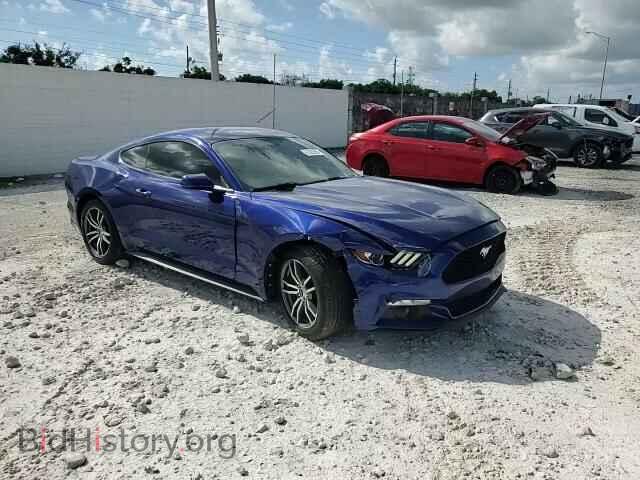 2015 FORD ALL Models - VIN: 1FA6P8TH6F5417274 - Фото 13