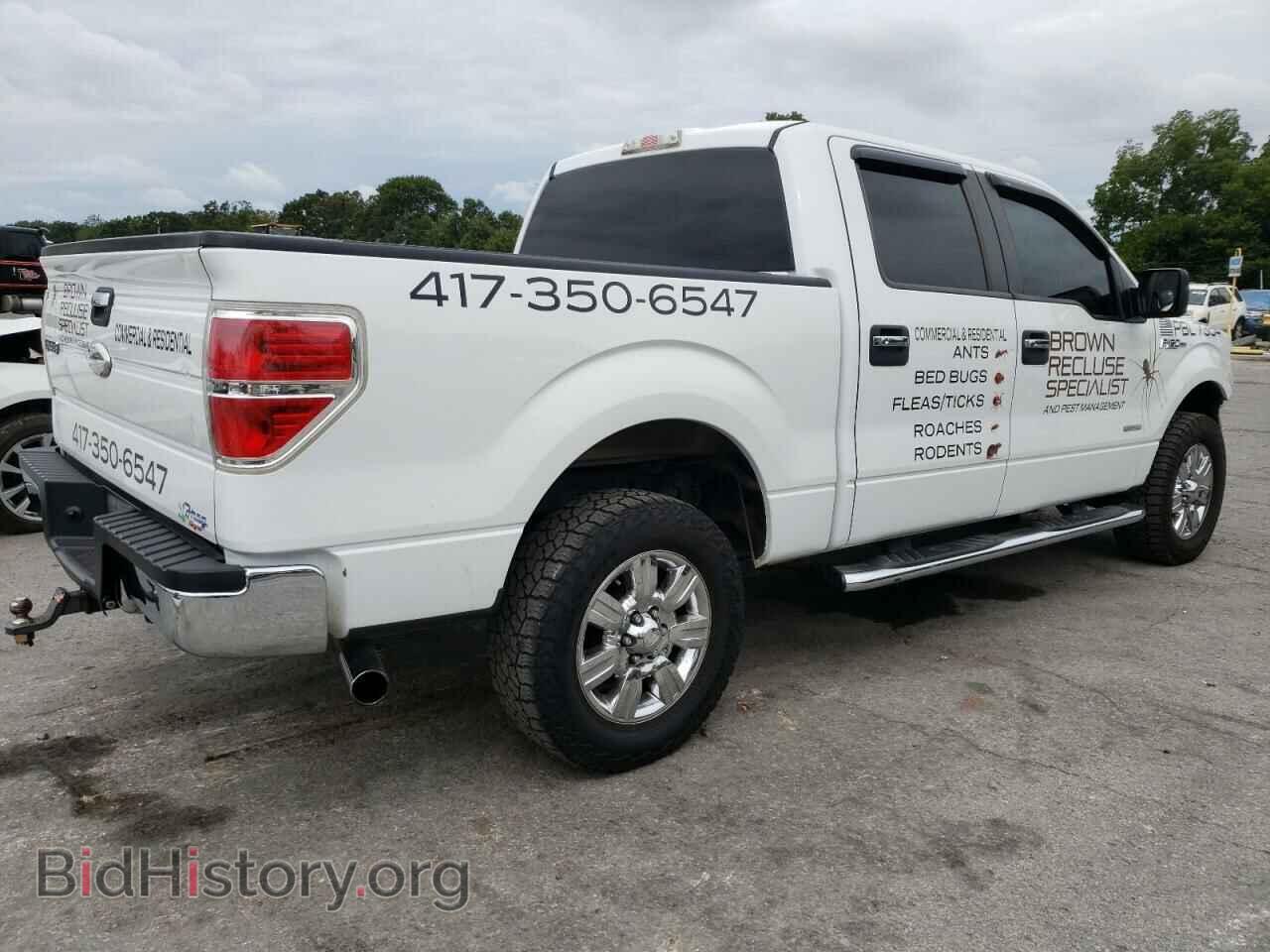2011 FORD F-150 - VIN: 1FTFW1ET2BFC49210 - Фото 3