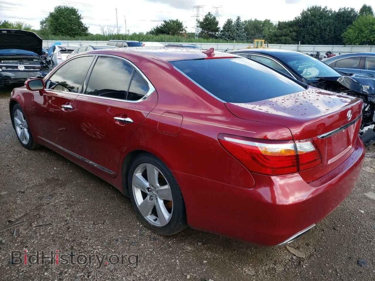 2011 LEXUS LS460 - VIN: JTHBL5EF4B5101959 - Photo 2