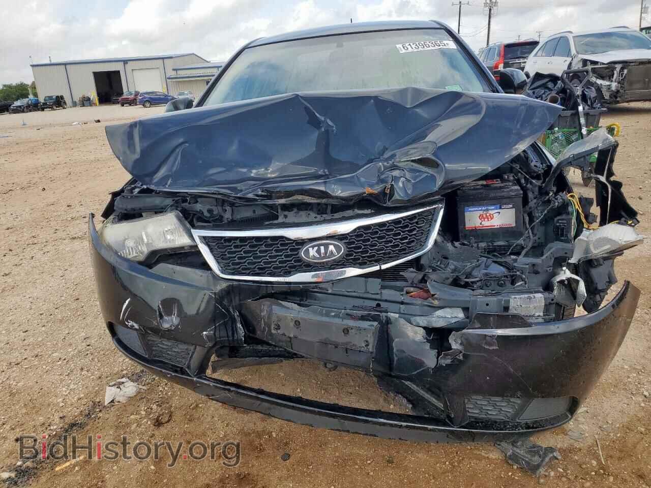2013 KIA FORTE - VIN: KNAFT4A27D5669168 - Фото 5
