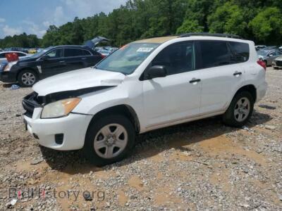 2011 Toyota RAV4, white — VIN 2T3ZF4DV8BW061193, Copart