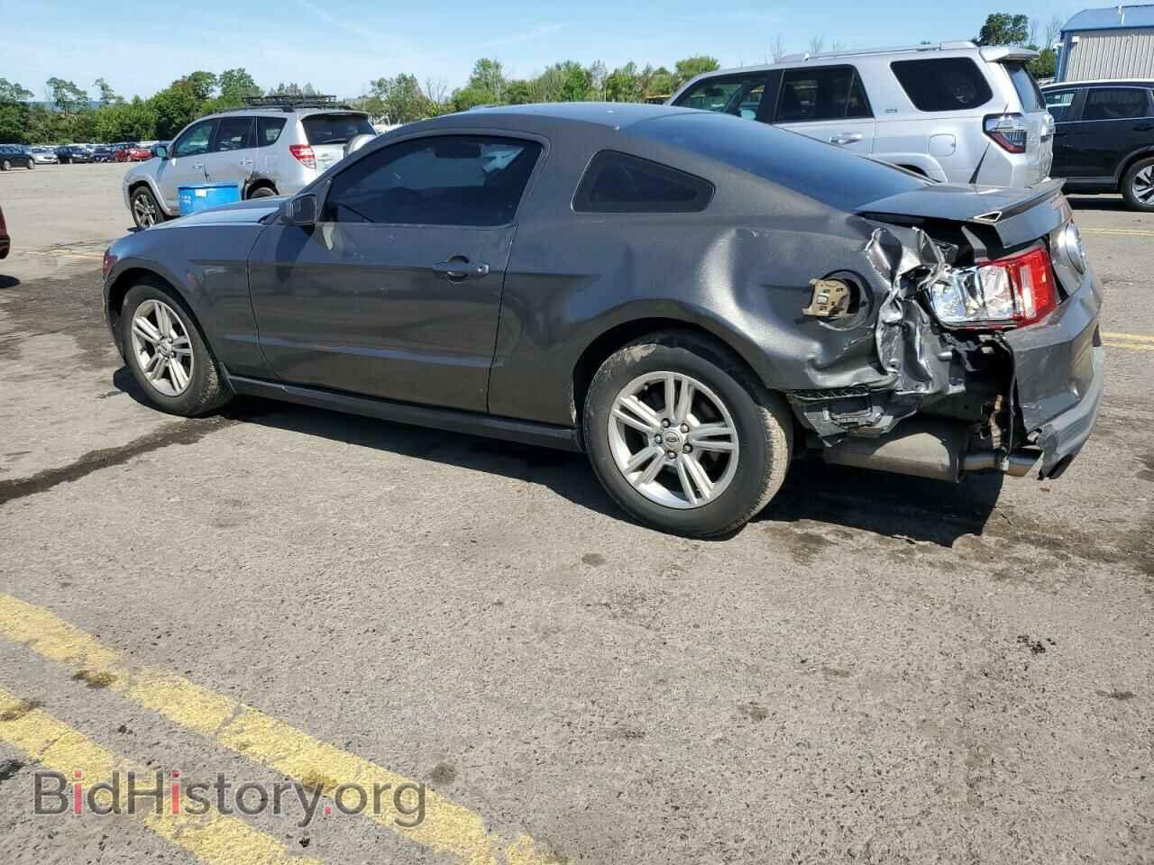 2011 FORD ALL Models - VIN: 1ZVBP8AM1B5166969 - Фото 2