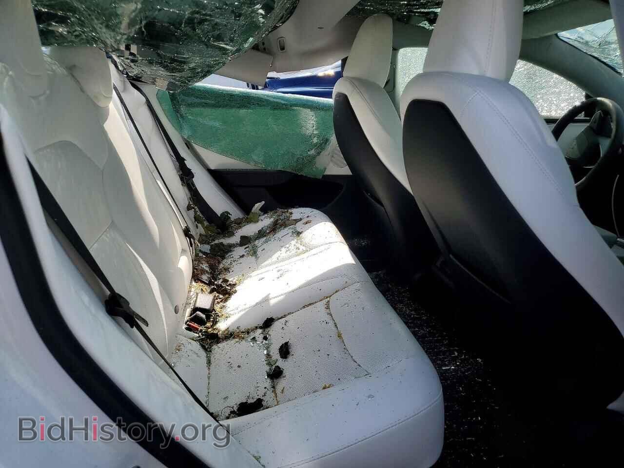 2025 TESLA MODEL 3 - VIN: 5YJ3E1EA7SF065728 - Photo 10
