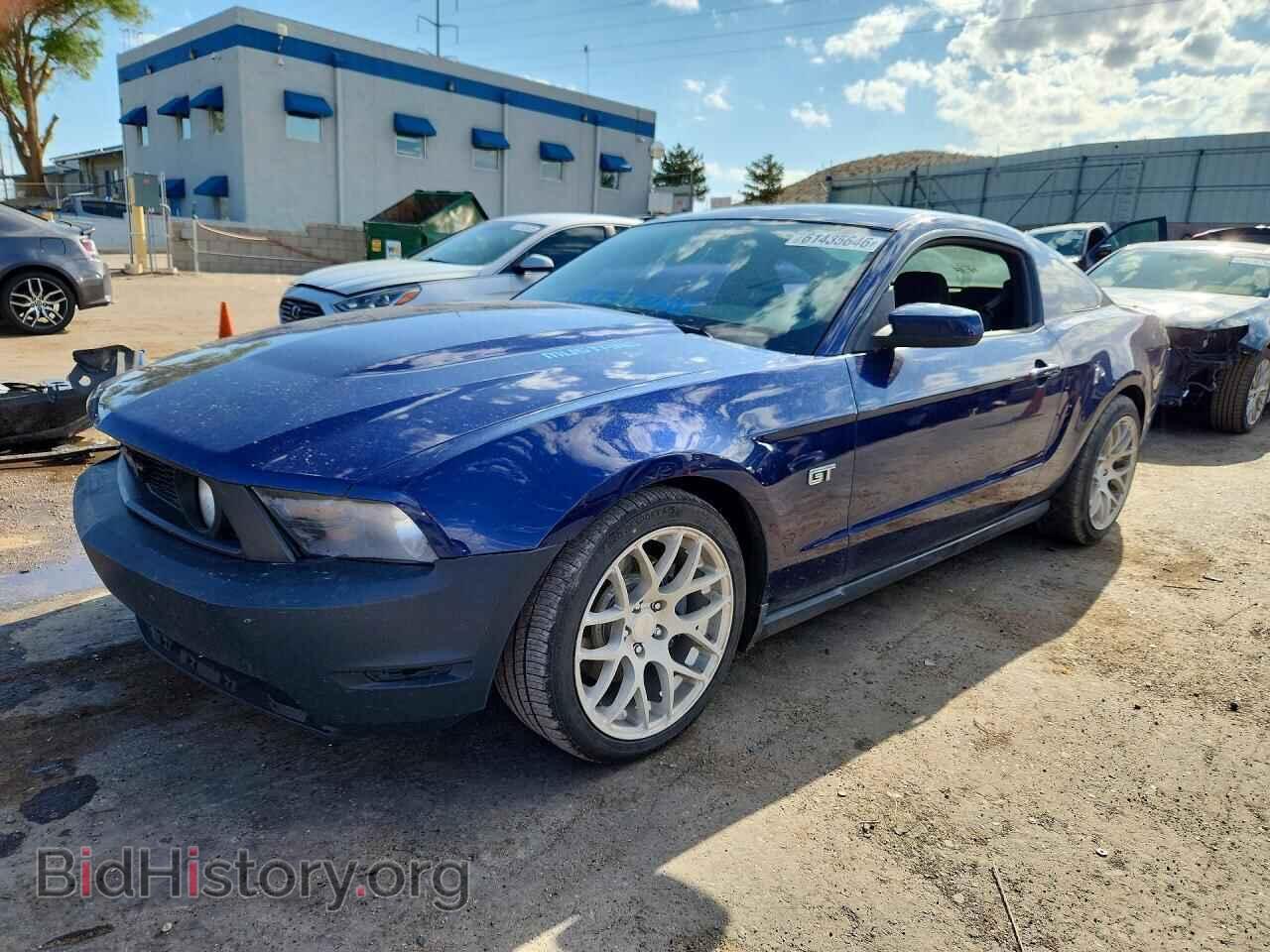 Фотография 1ZVBP8CH7A5117516 - FORD MUSTANG 2010
