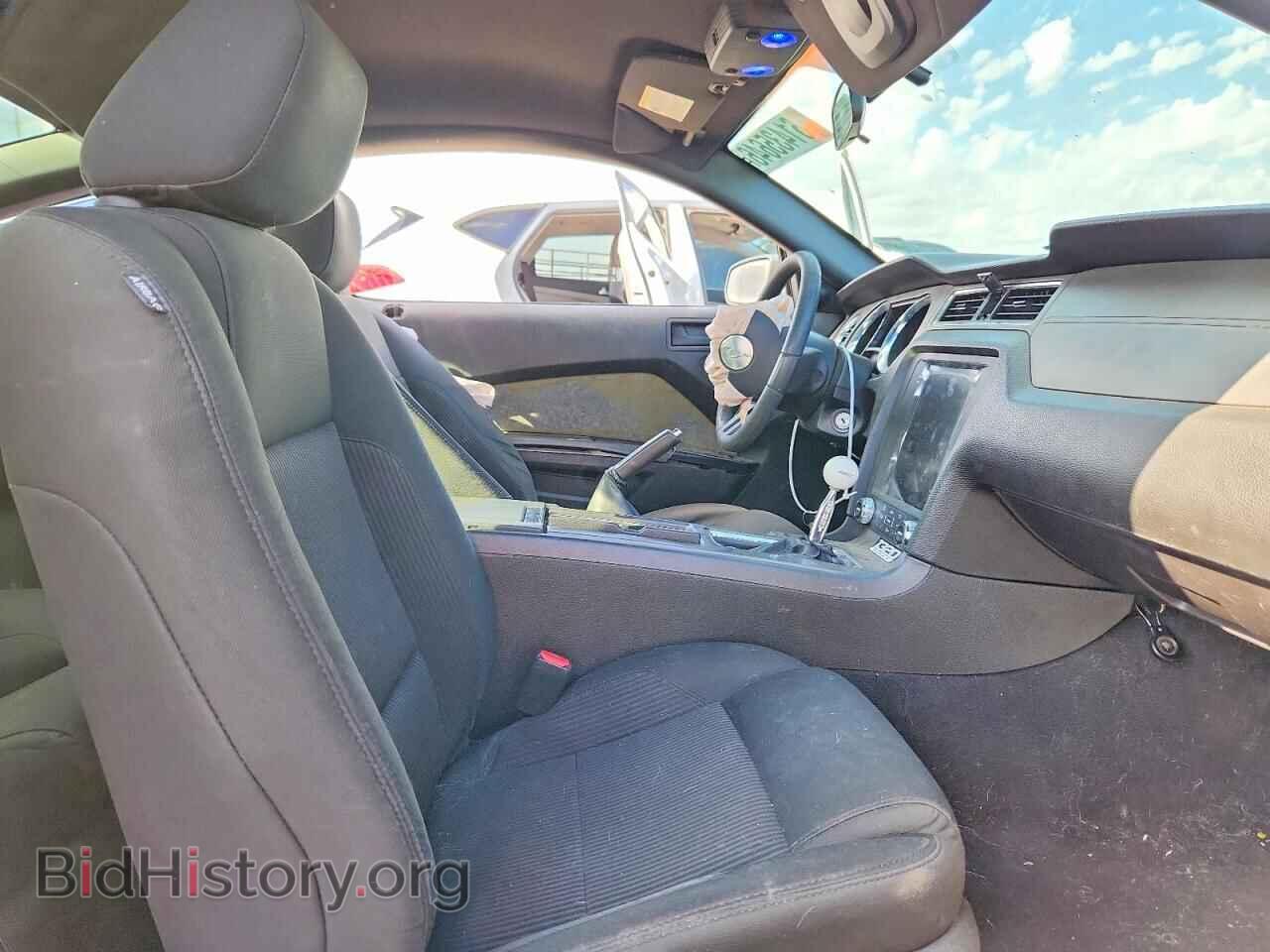 2010 FORD MUSTANG - VIN: 1ZVBP8CH7A5117516 - Фото 10
