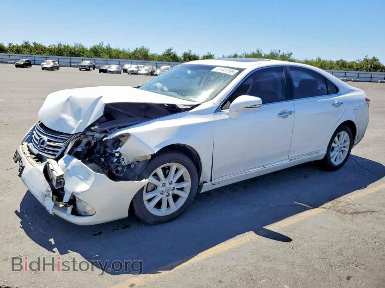 Фотография JTHBK1EG1A2343421 - LEXUS ES350 2010