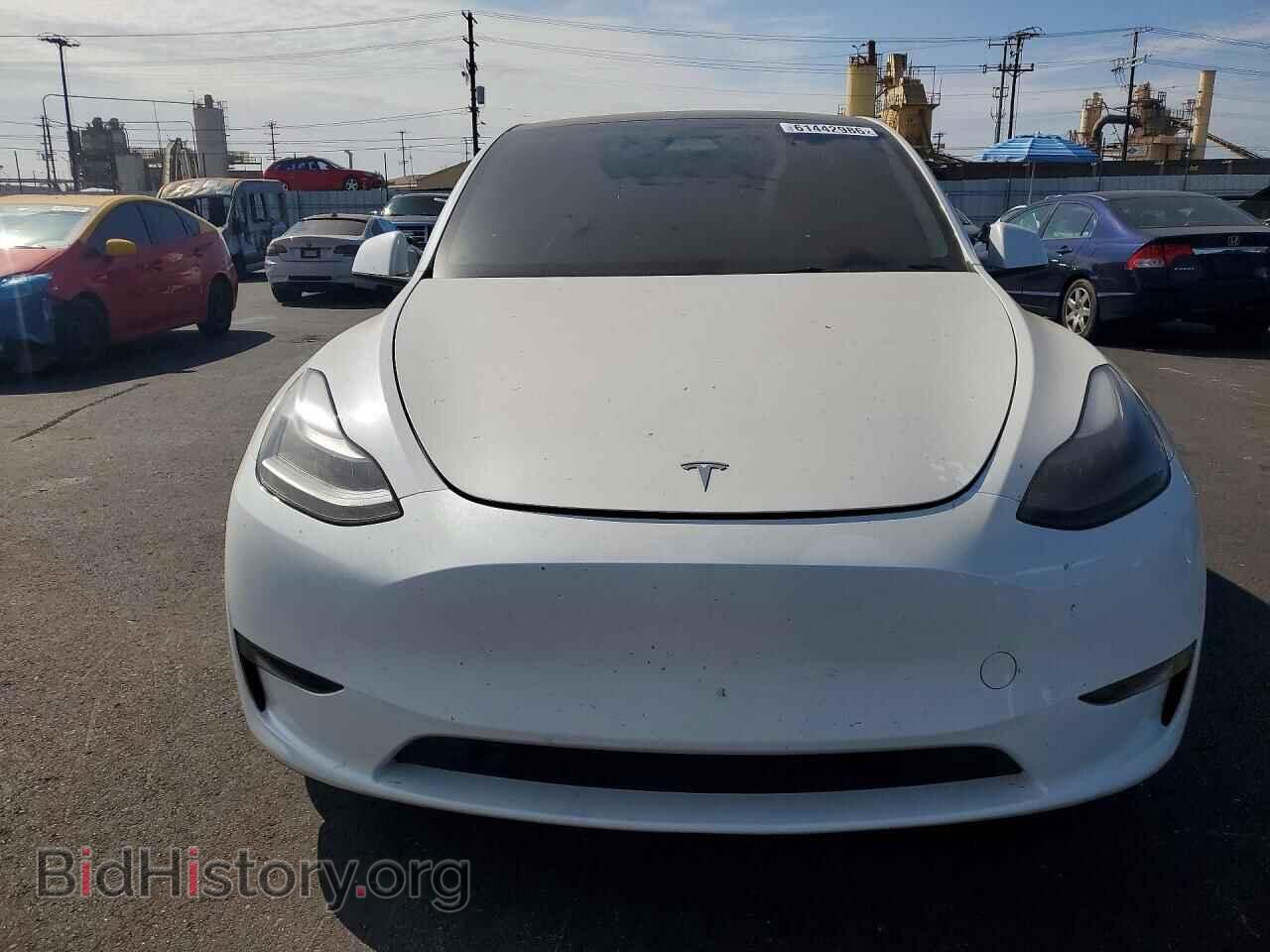 2024 TESLA MODEL Y - VIN: 7SAYGDEF6RF128103 - Фото 5