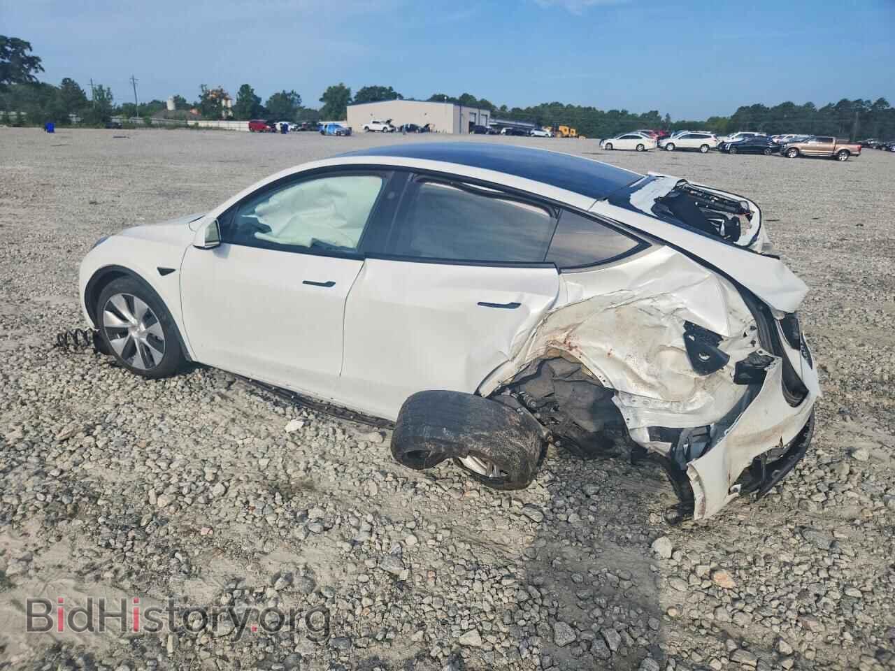 2024 TESLA MODEL Y - VIN: 7SAYGDEDXRF041691 - Фото 2
