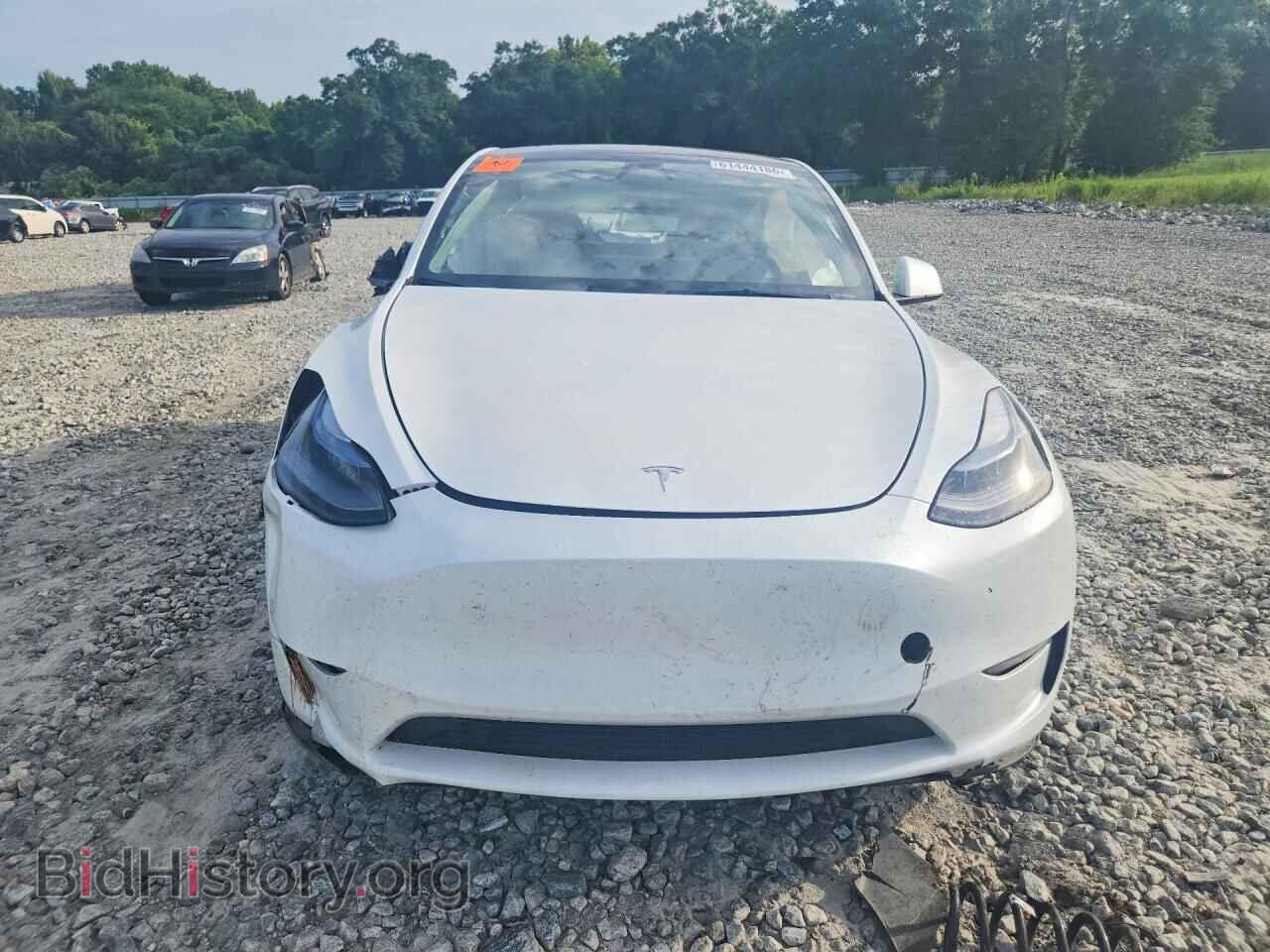 2024 TESLA MODEL Y - VIN: 7SAYGDEDXRF041691 - Фото 5