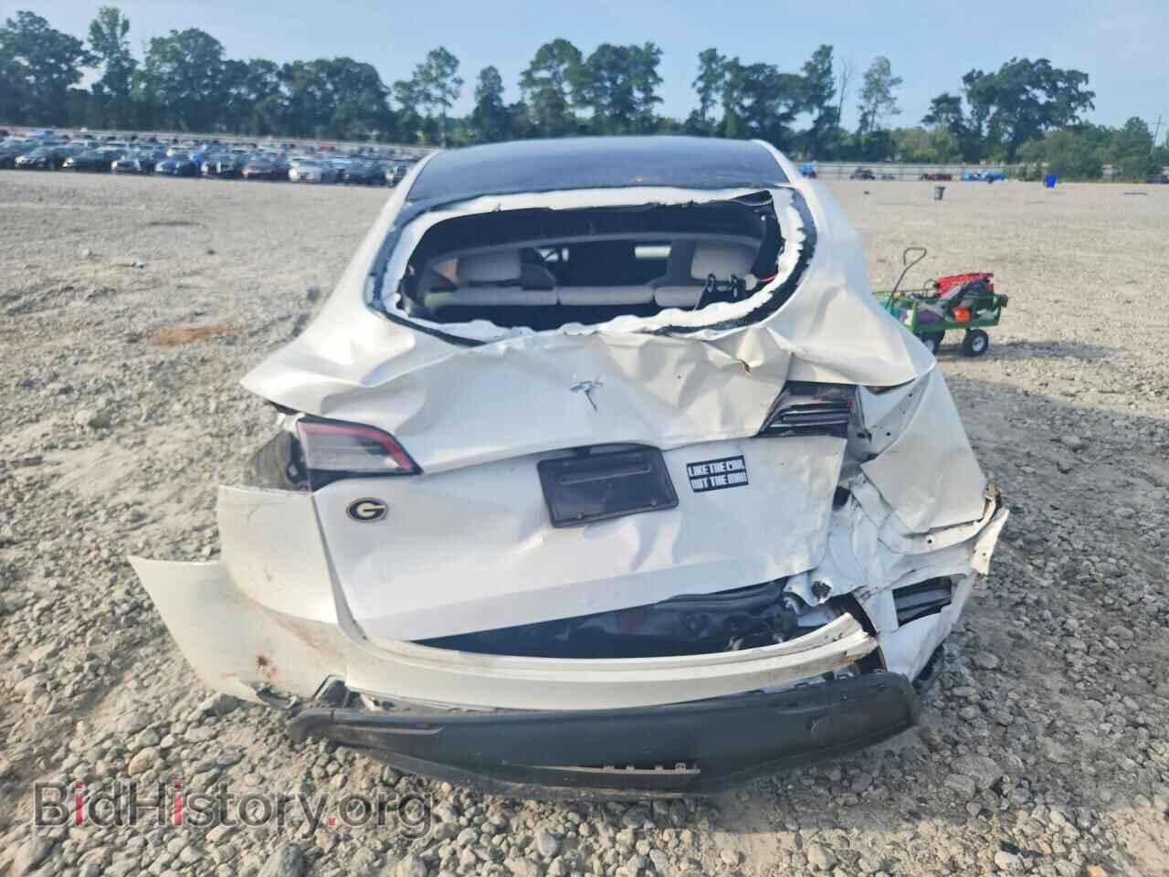 2024 TESLA MODEL Y - VIN: 7SAYGDEDXRF041691 - Фото 6