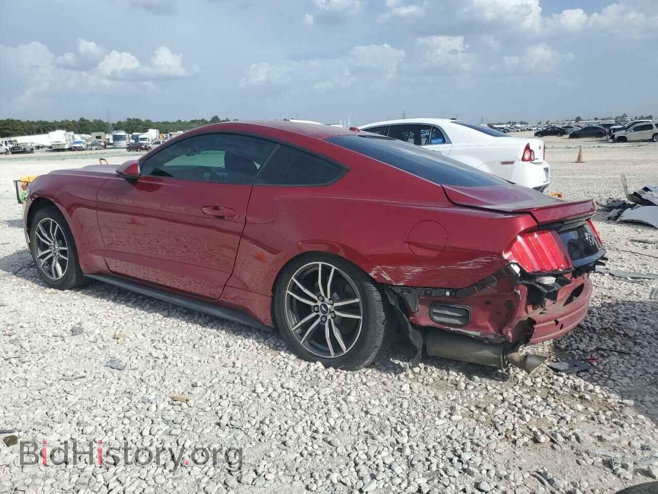 2017 FORD ALL Models - VIN: 1FA6P8TH0H5313124 - Фото 2