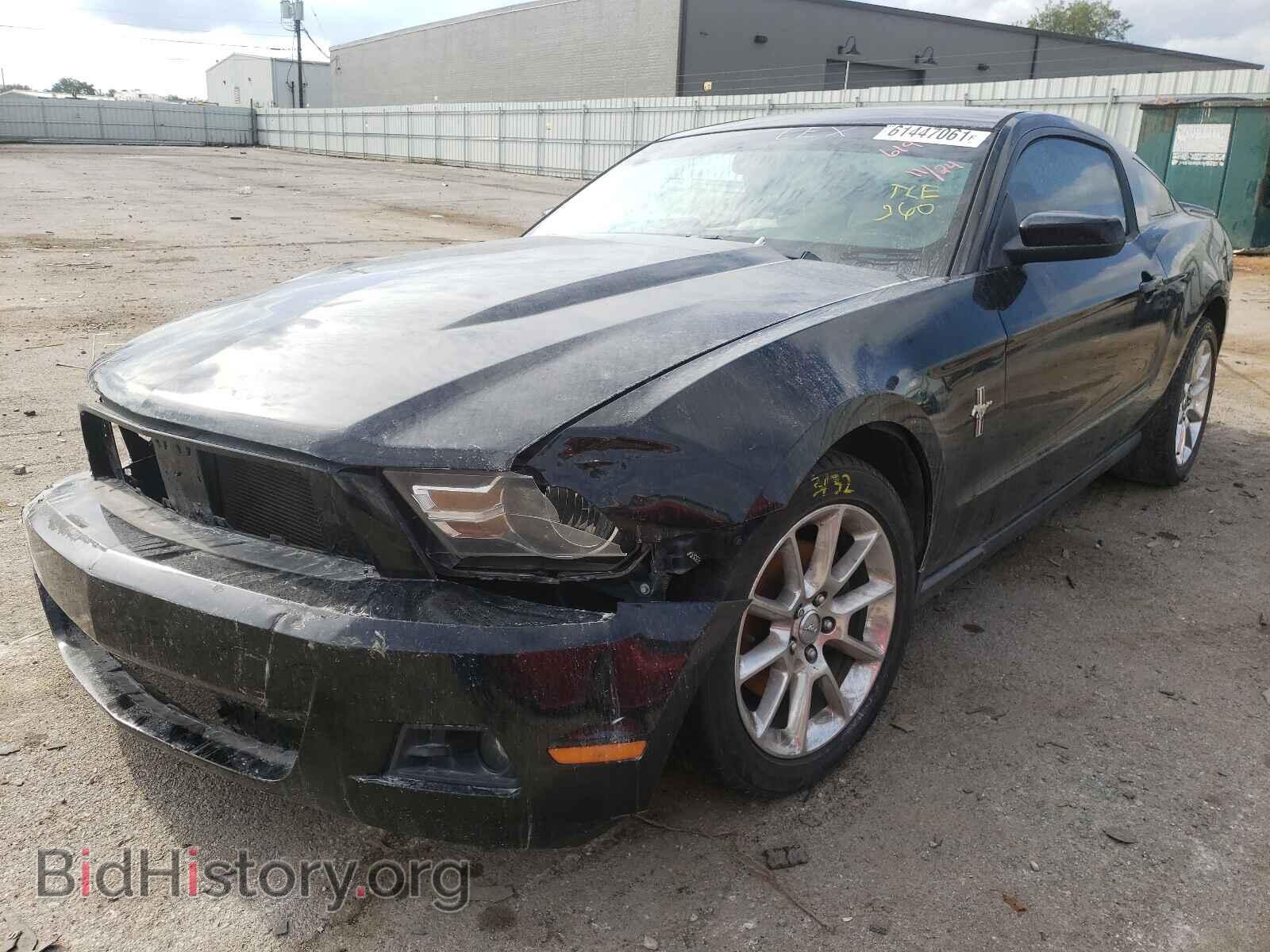 2011 FORD MUSTANG - VIN: 1ZVBP8AM4B5136199 - Фото 2