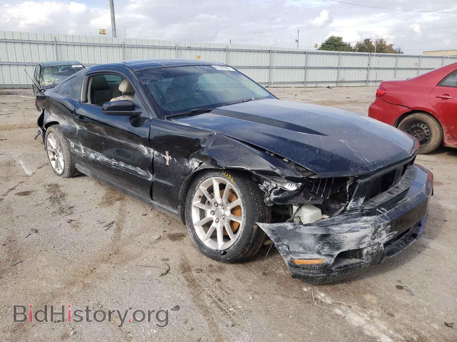 2011 FORD MUSTANG - VIN: 1ZVBP8AM4B5136199 - Фото 9