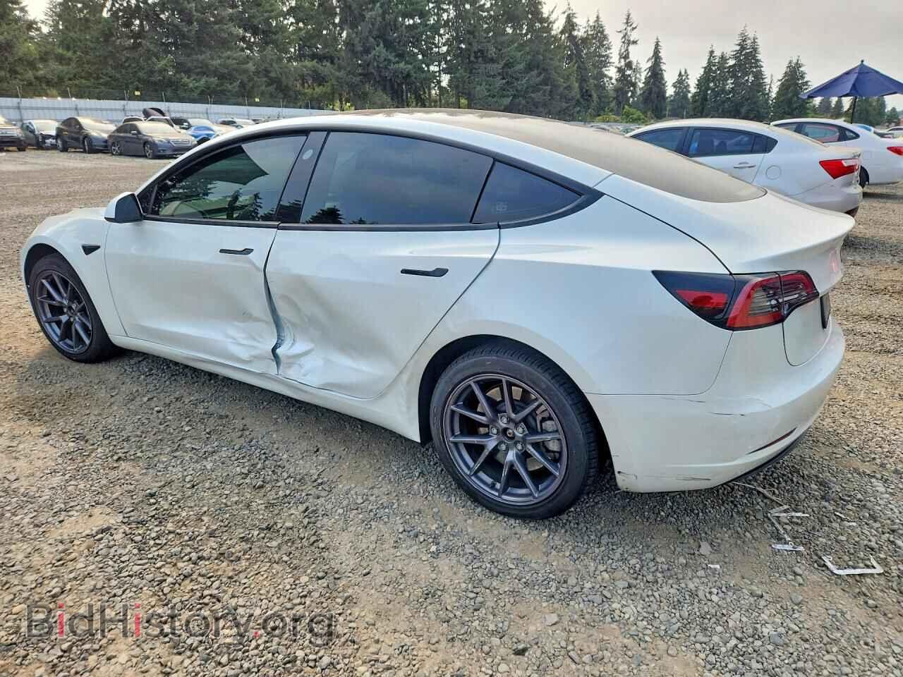 2023 TESLA MODEL 3 - VIN: 5YJ3E1EA4PF641539 - Photo 2