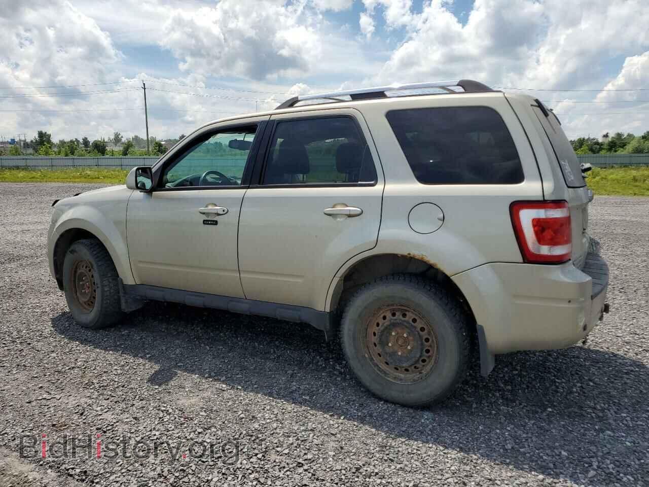 2011 FORD ESCAPE - VIN: 1FMCU9EG4BKB81263 - Фото 2