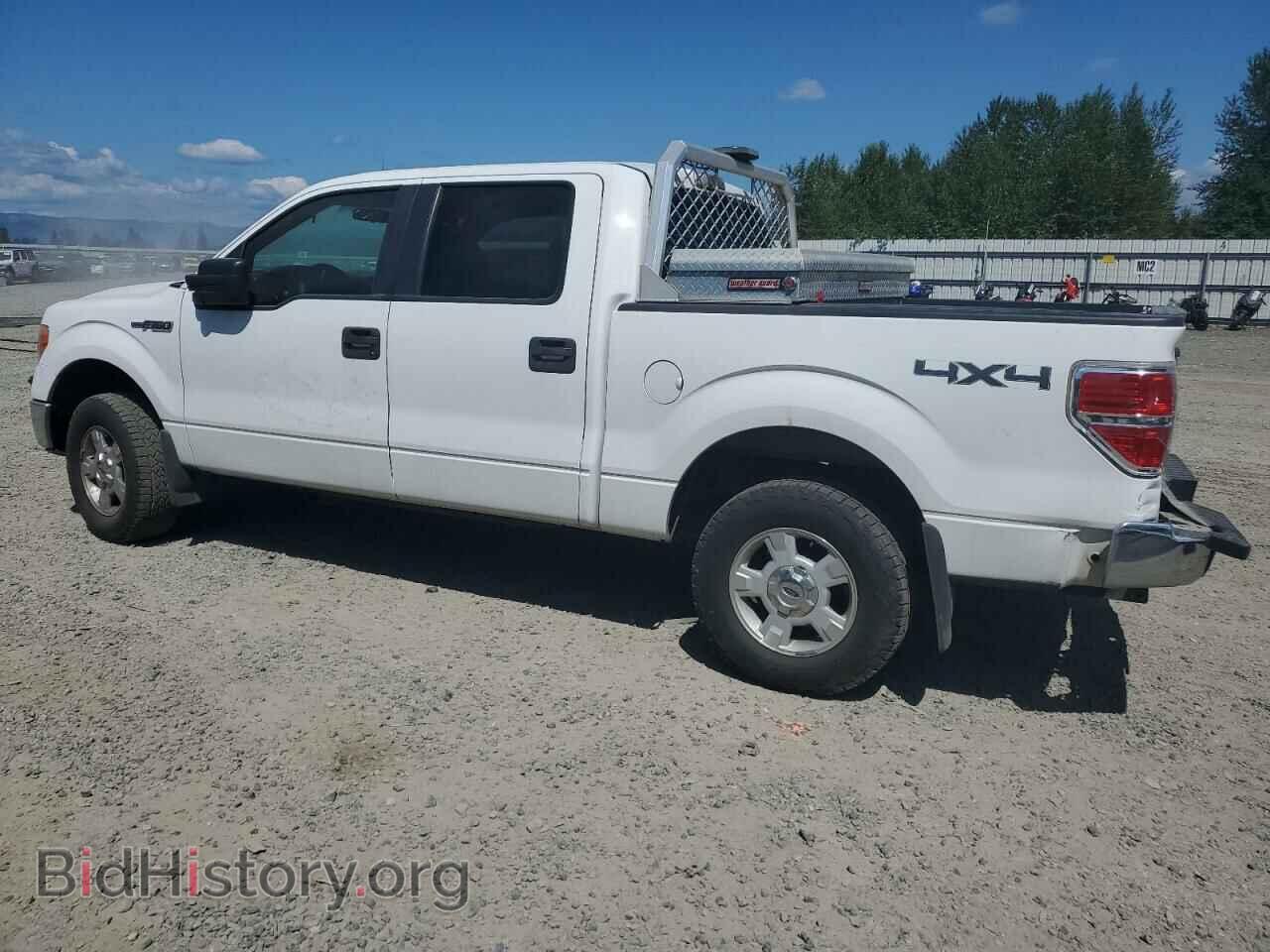 2010 FORD F-150 - VIN: 1FTEW1E80AFB81432 - Фото 2