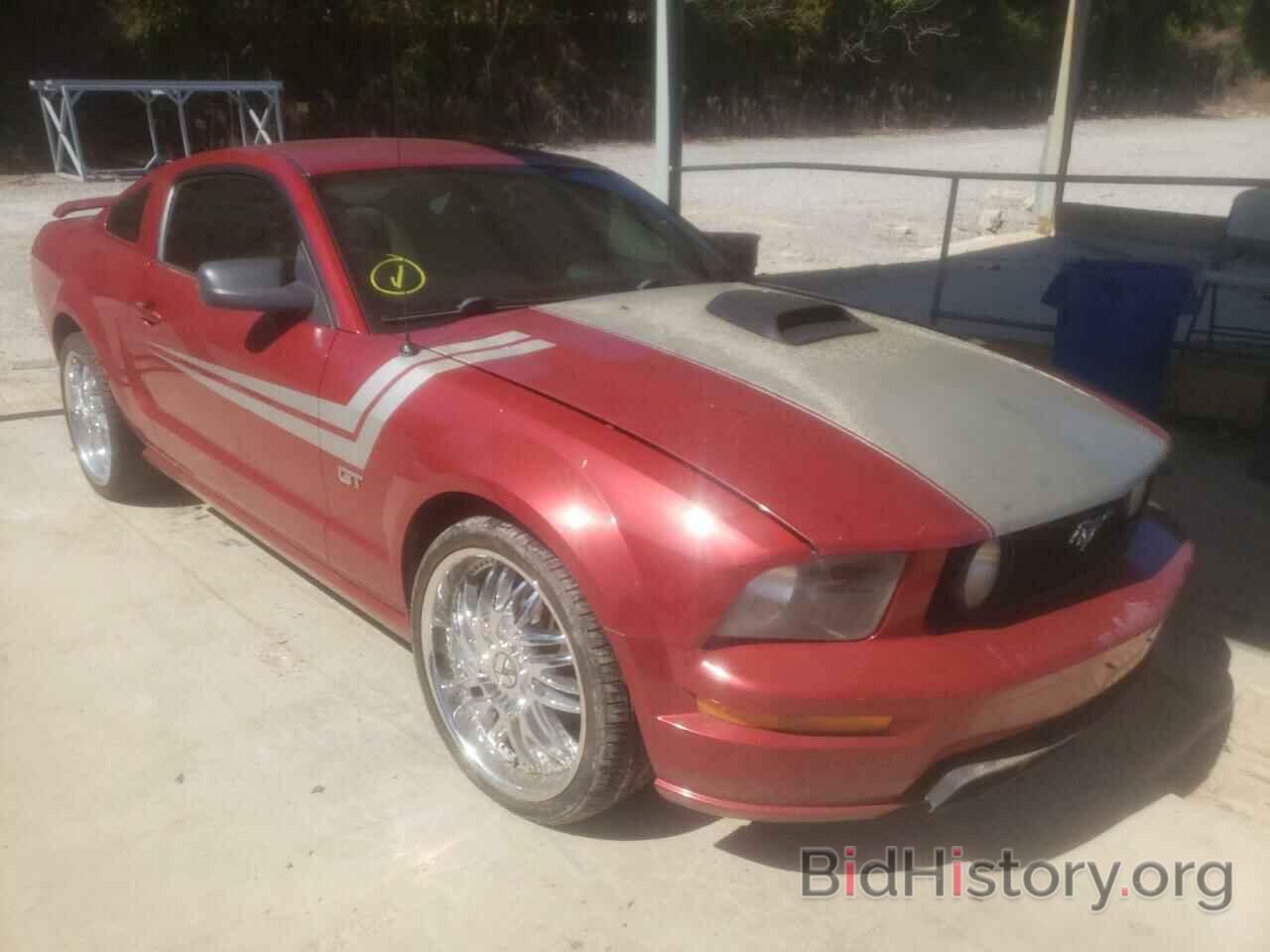 Photo 1ZVHT82H785131742 - FORD MUSTANG 2008