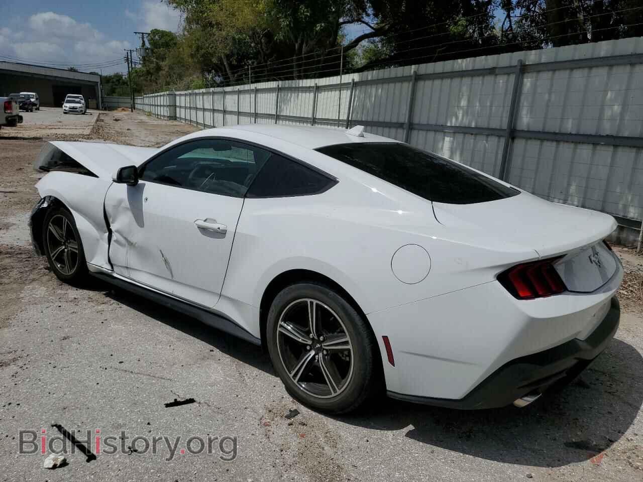 2024 FORD ALL Models - VIN: 1FA6P8TH7R5118834 - Photo 2