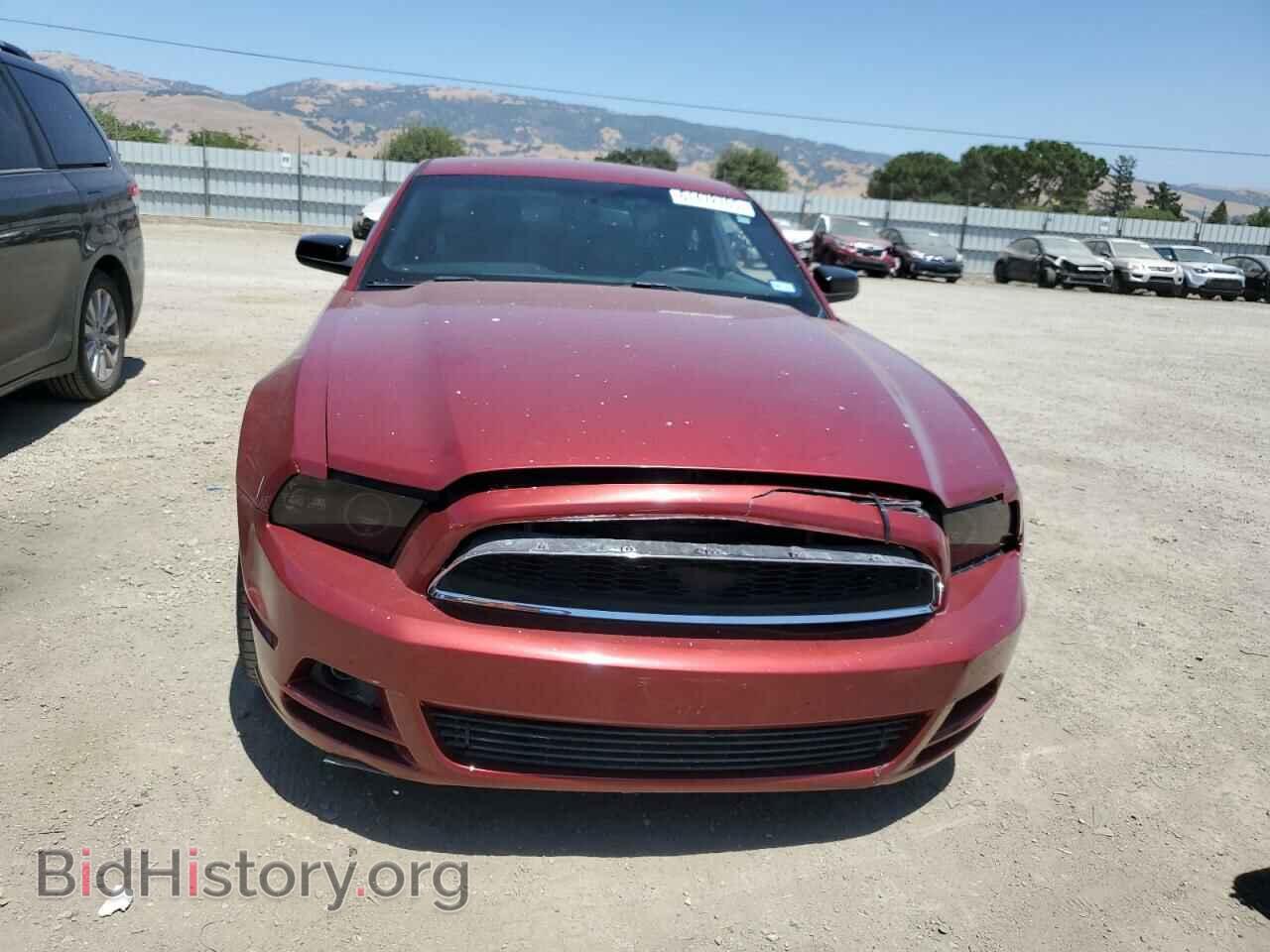 2014 FORD ALL Models - VIN: 1ZVBP8AM5E5217295 - Фото 5