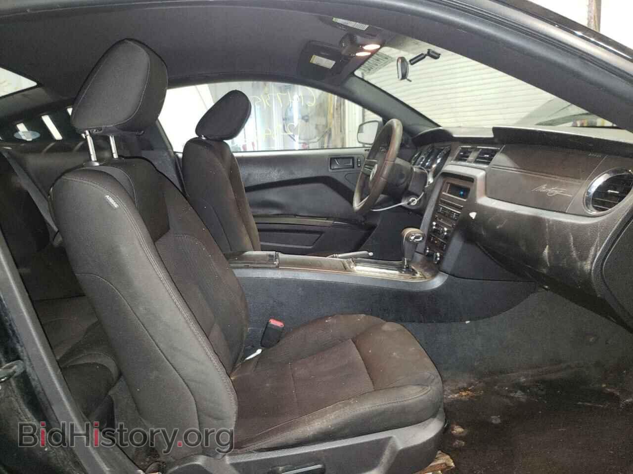 2012 FORD MUSTANG - VIN: 1ZVBP8AM3C5207264 - Фото 5