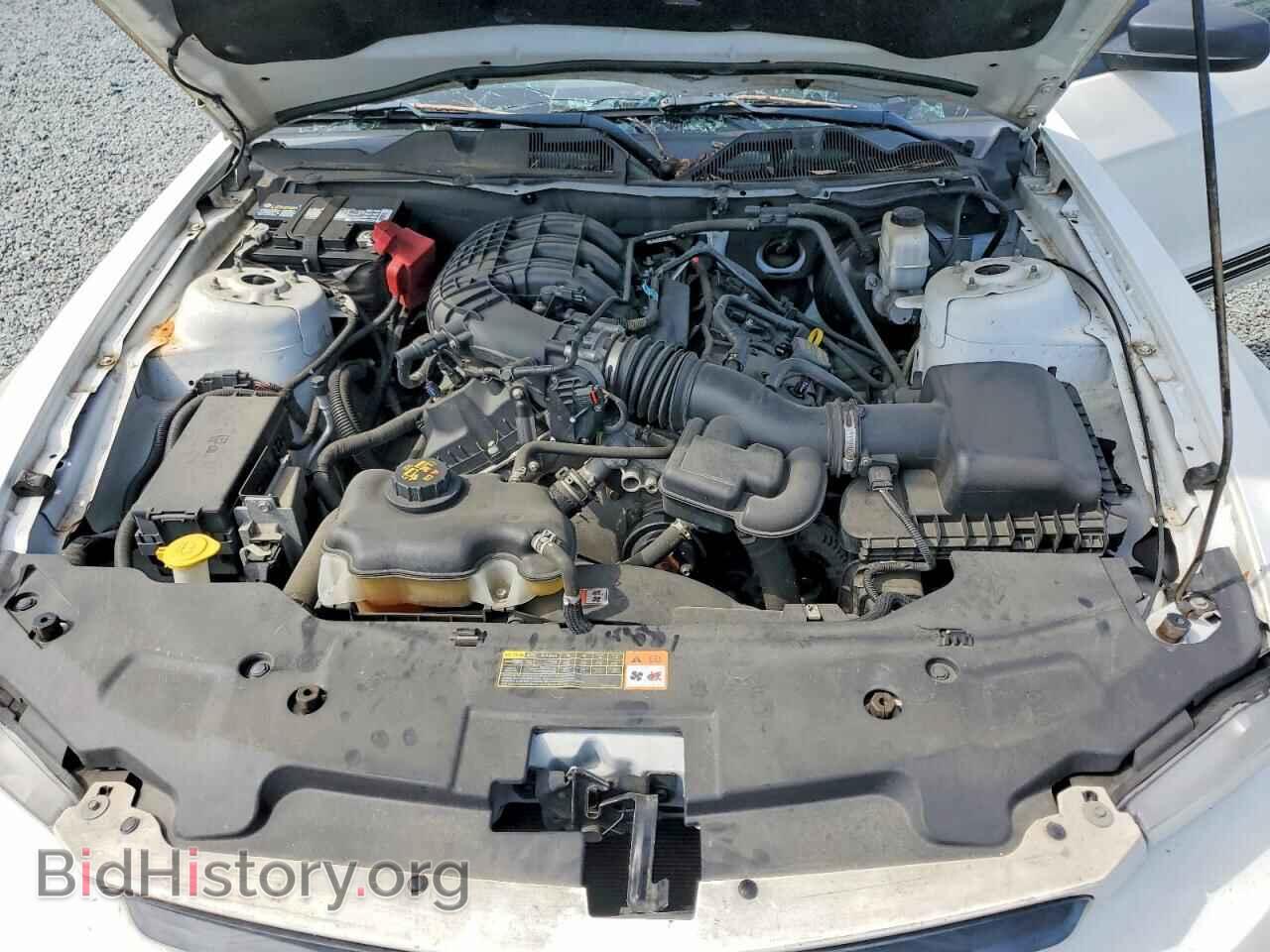 2012 FORD MUSTANG - VIN: 1ZVBP8AM0C5287347 - Фото 11