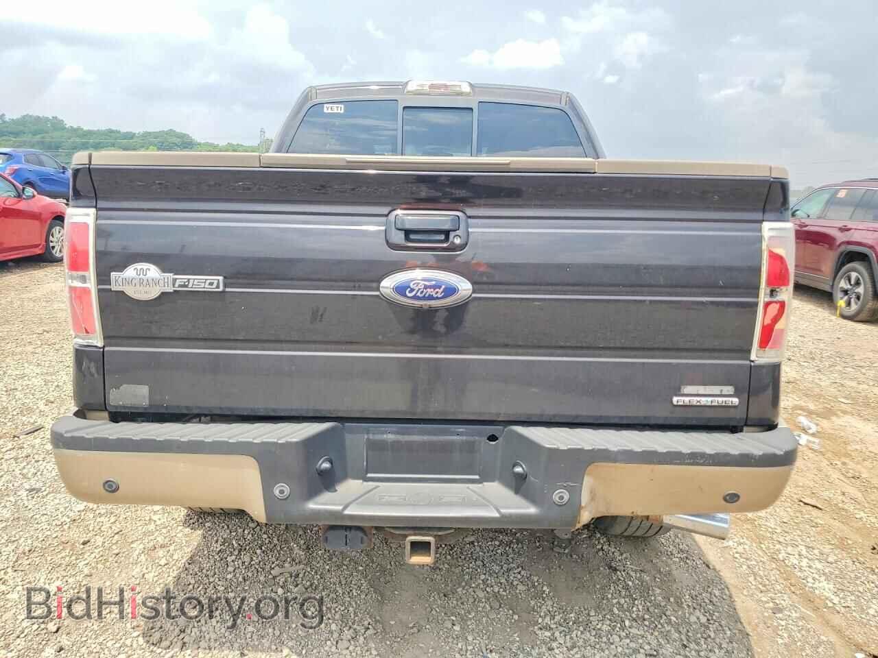 2013 FORD F150 - VIN: 1FTFW1EF9DKE88600 - Фото 6