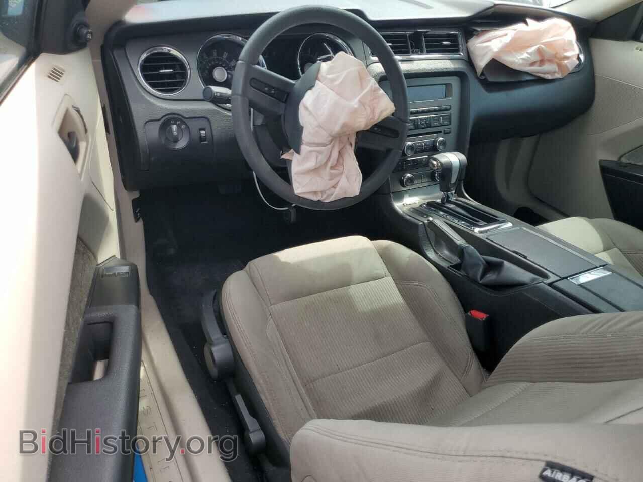 2010 FORD ALL Models - VIN: 1ZVBP8AN6A5145011 - Photo 8