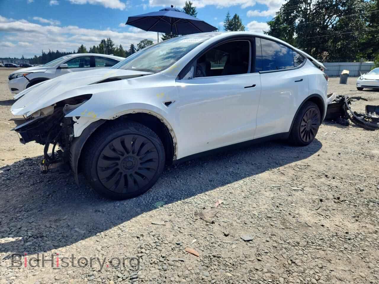 Фотография 5YJYGDEE7MF153685 - TESLA MODEL Y 2021