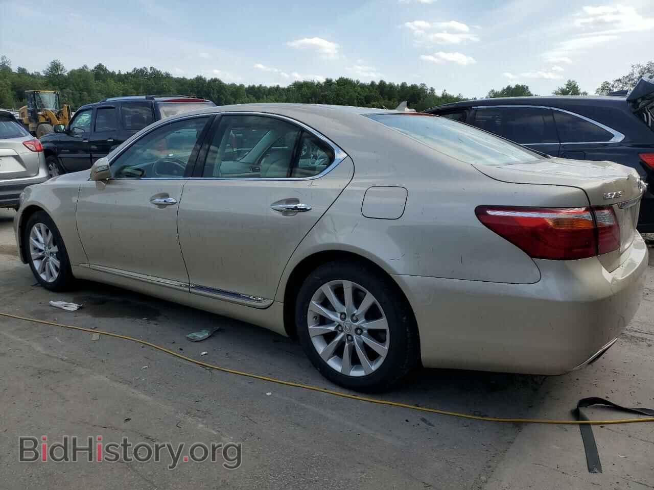 2011 LEXUS LS460 - VIN: JTHCL5EF6B5012026 - Photo 2