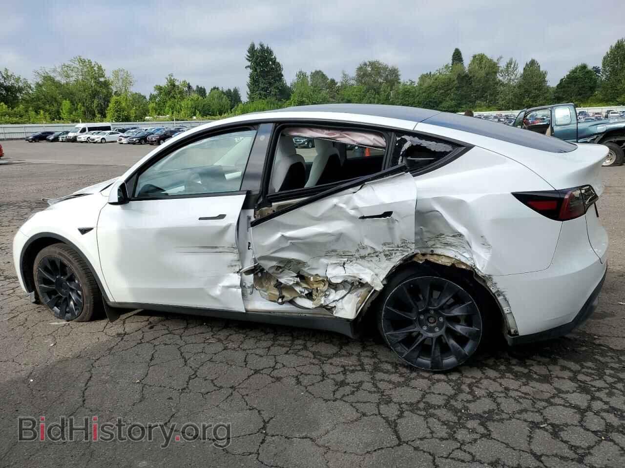 2023 TESLA MODEL Y - VIN: 7SAYGDEE7PF627884 - Фото 2