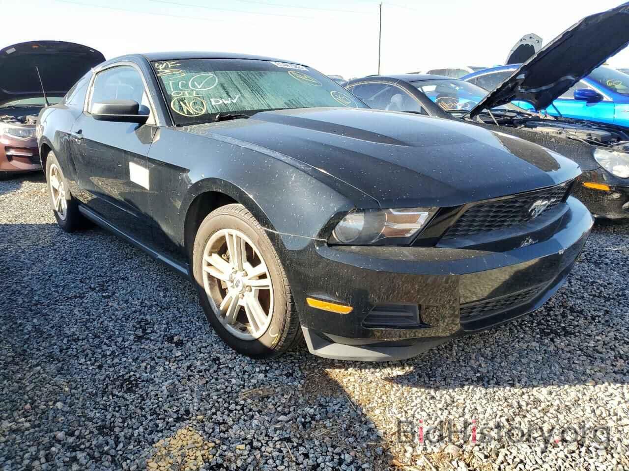 Photo 1ZVBP8AM2C5271683 - FORD MUSTANG 2012