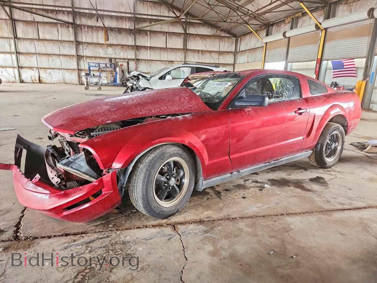 Photo 1ZVFT80N955152197 - FORD MUSTANG 2005