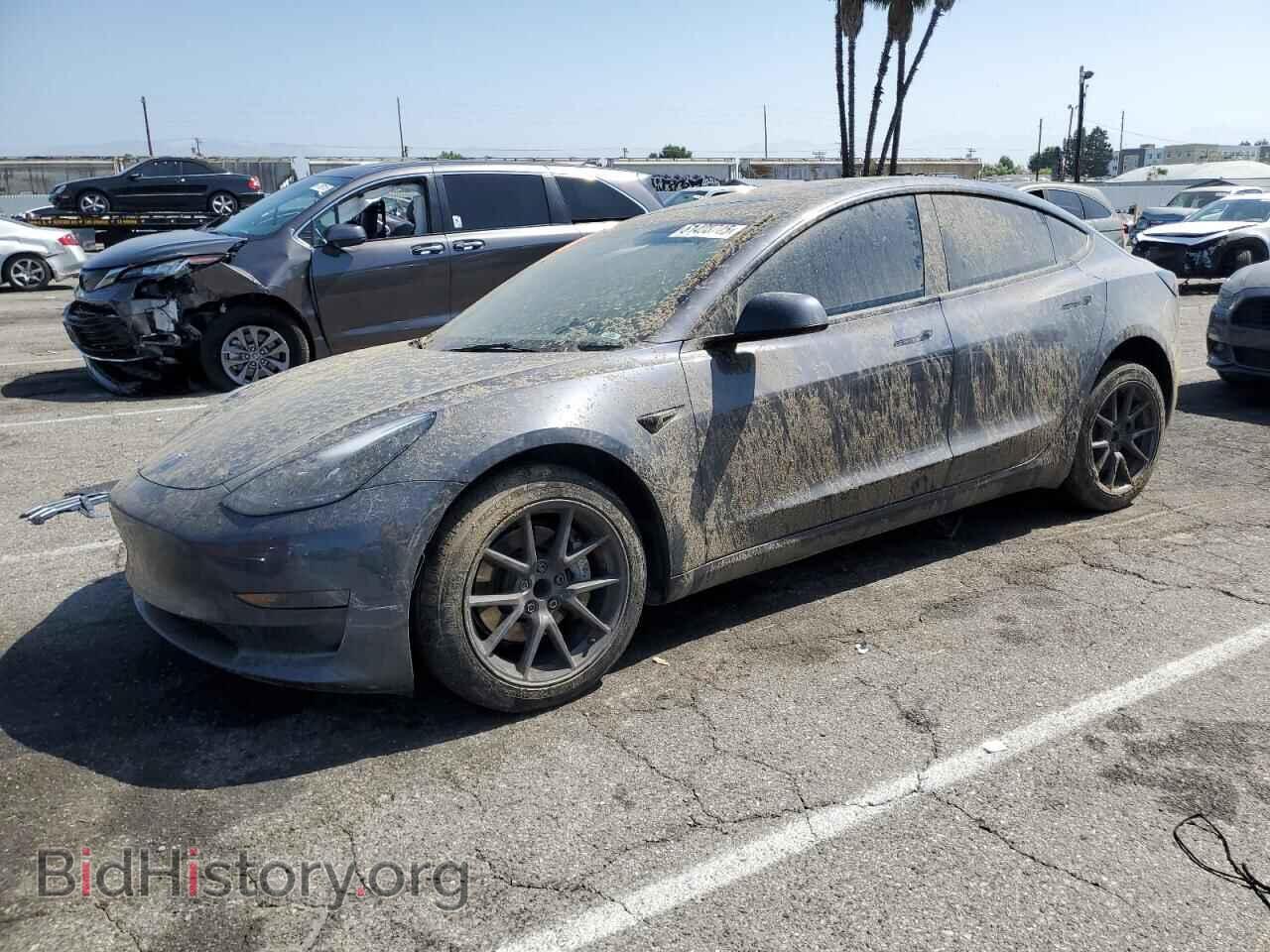 Фотография 5YJ3E1EA3PF619158 - TESLA MODEL 3 2023