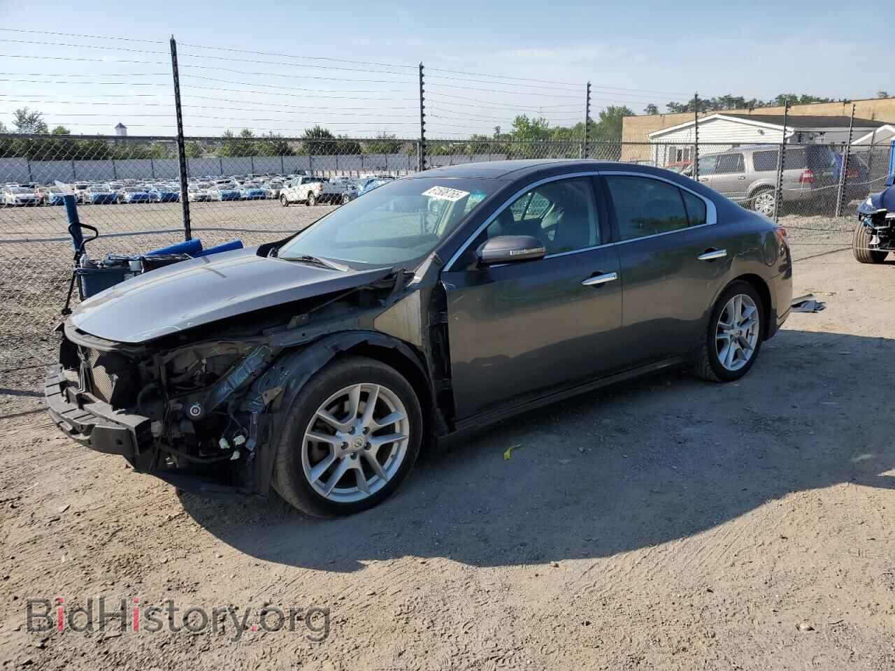 Photo 1N4AA5AP5BC826389 - NISSAN MAXIMA 2011